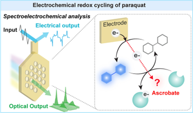 1712474154526949.png 1.png